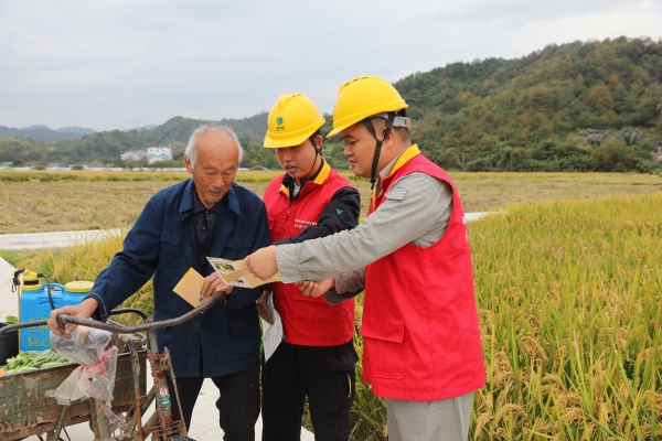 國網(wǎng)臺(tái)州市黃巖區(qū)供電公司：初冬巡線護(hù)豐收 為農(nóng)用電添保障